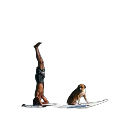 animal, staff, concept art, pixel art, watercolor, 3d render, underwater, beach transparent PNG cut-out