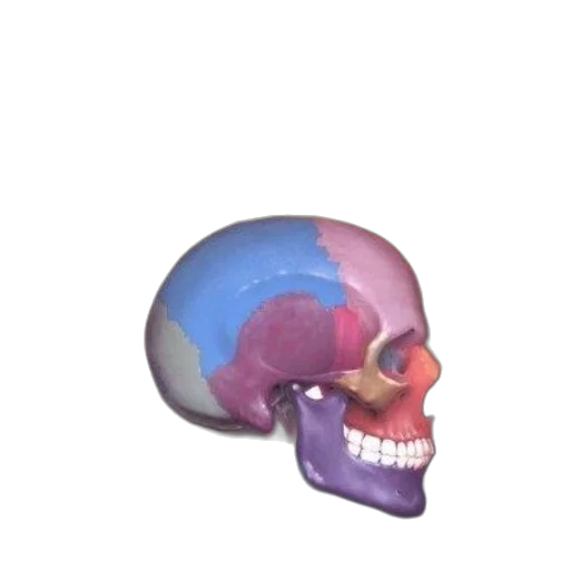 face, mask, crown, hat transparent PNG cut-out