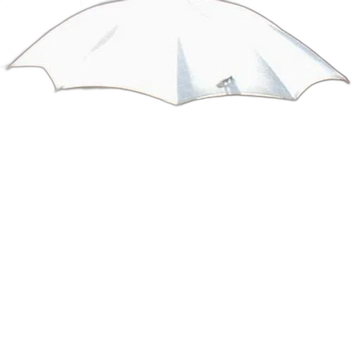 umbrella, hat, staff, crown, concept art, 3d render, photorealistic, watercolor transparent PNG cut-out