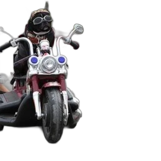 3d render, black, dog, wearing, goggles, rides, red, motorcycle transparent PNG cut-out