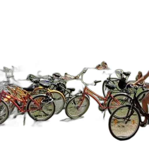 3d render, photorealistic, bicycles, parked, sunny, park, people, lounging transparent PNG cut-out