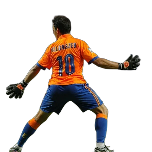 animal, valencia, goalkeeper, fernando transparent PNG cut-out