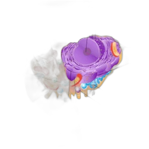 crown, flower, jewelry, weapon, 3d render, concept art, photorealistic, fantasy art transparent PNG cut-out