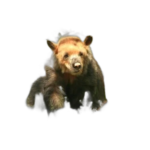 animal, creature, staff, face, 3d render, concept art, photorealistic, pixel art transparent PNG cut-out
