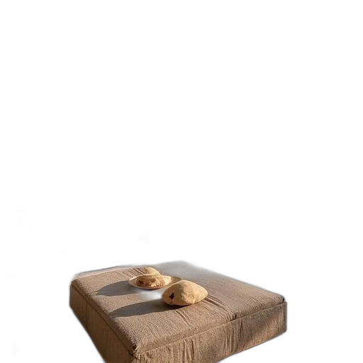 furniture, shoes, animal, hat transparent PNG cut-out