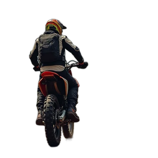 jacket, weapon, animal, concept art transparent PNG cut-out