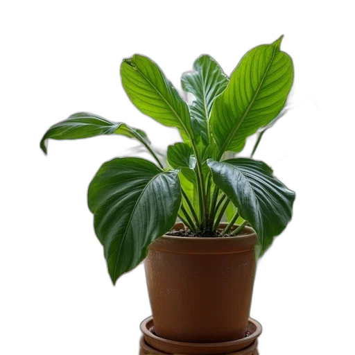 crown, flower, staff, tree, photorealistic, 3d render, same, plant transparent PNG cut-out