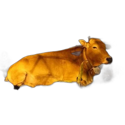 animal, food, creature, furniture, photorealistic, concept art, 3d render, oil painting transparent PNG cut-out