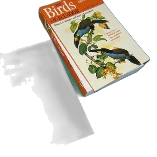 weapon, bottle, staff, shoes, concept art, 3d render, photorealistic, book transparent PNG cut-out