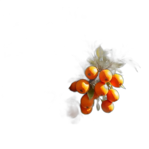 food, flower, crown, jewelry, 3d render, photorealistic, concept art, oil painting transparent PNG cut-out