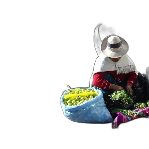 food, mask, hat, woman, wearing, red, shirt, sits transparent PNG cut-out
