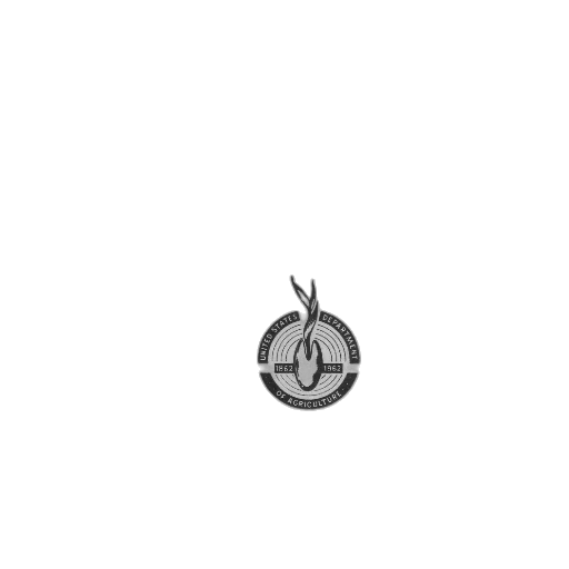 jewelry, crown, staff, hat, pixel art, 3d render, concept art, photorealistic transparent PNG cut-out