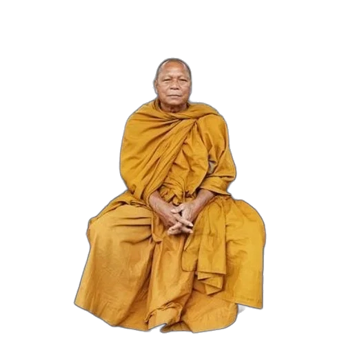 staff, face, animal, umbrella, photorealistic, monk, yellow, robes transparent PNG cut-out