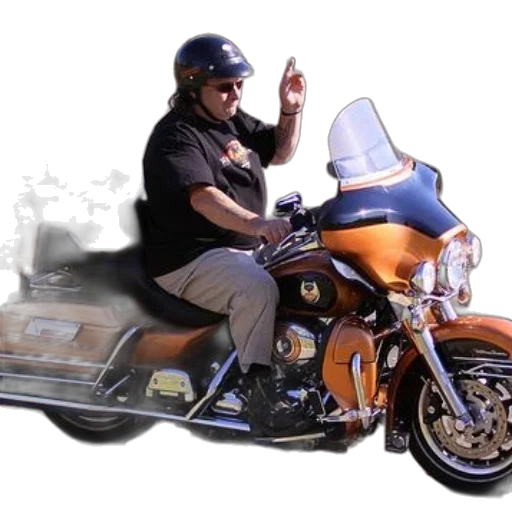 man, wearing, black, t-shirt, sunglasses, rides, large, orange transparent PNG cut-out
