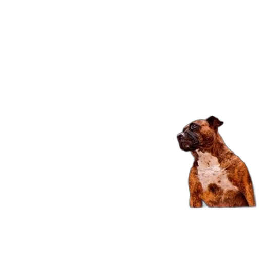 animal, face, staff, creature, pixel art, photorealistic, 3d render, outer space transparent PNG cut-out