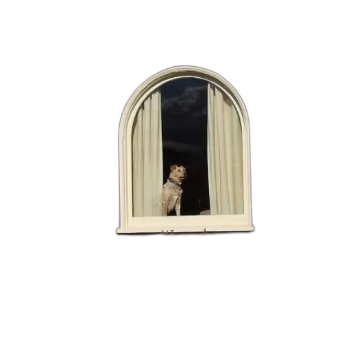 staff, animal, creature, face, 3d render, photorealistic, pixel art, dog transparent PNG cut-out