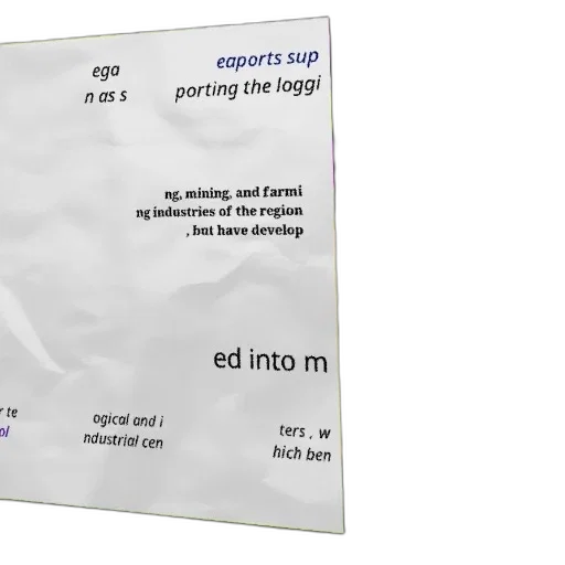 jacket, fog, forest, image, shows, text, chinese, discussing transparent PNG cut-out