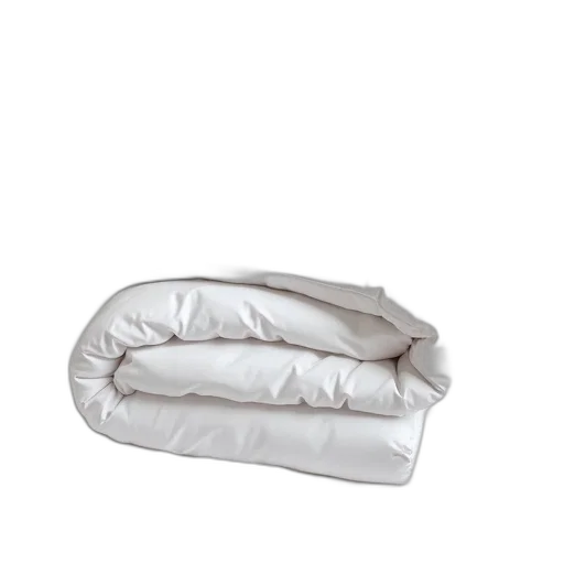 furniture, jacket, hat, crown transparent PNG cut-out