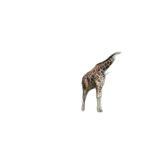 animal, creature, staff, dragon, 3d render, pixel art, photorealistic, concept art transparent PNG cut-out