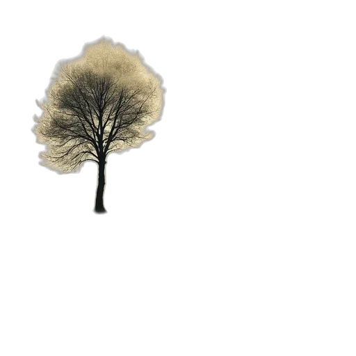 tree, umbrella, hat, crown, 3d render, photorealistic, concept art, pixel art transparent PNG cut-out
