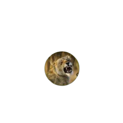 animal, creature, face, staff, photorealistic, 3d render, pixel art, earth tones transparent PNG cut-out