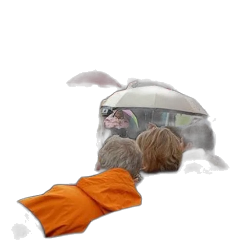 hat, umbrella, animal, creature, photorealistic, concept art, 3d render, watercolor transparent PNG cut-out