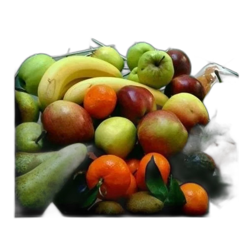 food, crown, photorealistic, oil painting, 3d render, watercolor, earth tones, colorful transparent PNG cut-out