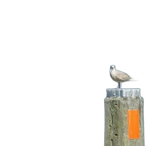 bottle, animal, earth tones, seagull, perches, post, orange, stripe transparent PNG cut-out