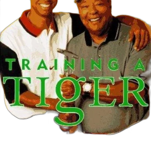 3d render, cover, training, tiger transparent PNG cut-out