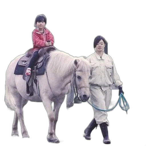animal, staff, photorealistic, concept art, oil painting, young, girl, rides transparent PNG cut-out