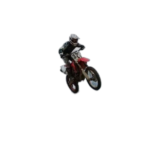 animal, pixel art, photorealistic, 3d render, concept art, daring, motocross, rider transparent PNG cut-out