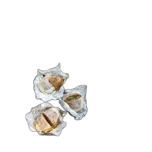 jewelry, crown, food, shoes, 3d render, photorealistic, concept art, watercolor transparent PNG cut-out