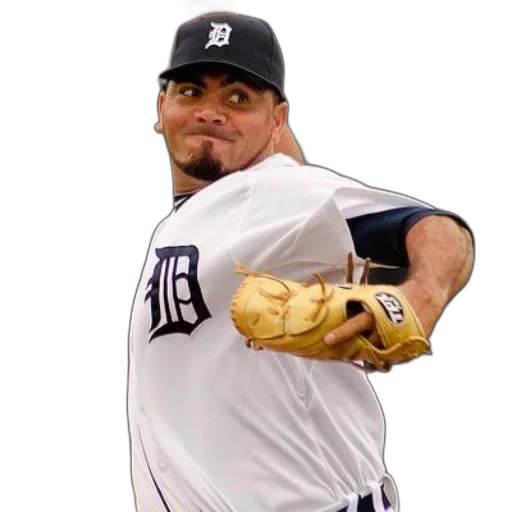 animal, detroit, tigers, pitcher, about, throw, ball transparent PNG cut-out