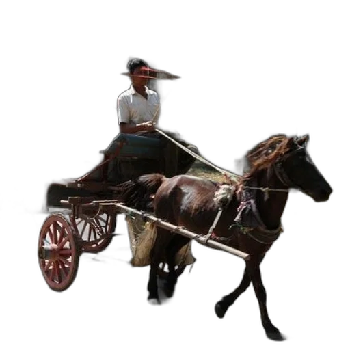 staff, car, hat, animal, concept art, 3d render, photorealistic, pixel art transparent PNG cut-out