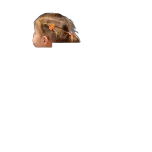 hair, face, mask, animal, photorealistic, pixel art, 3d render, concept art transparent PNG cut-out