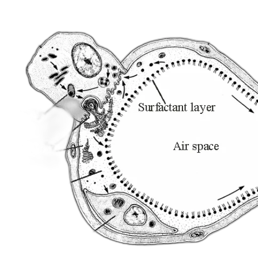 jewelry, mask, furniture, face, concept art, outer space, image, detailed transparent PNG cut-out