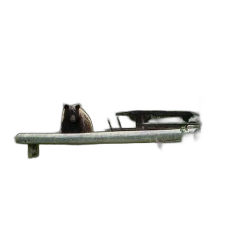 weapon, staff, furniture, sword, bear, sitting, log, woods transparent PNG cut-out
