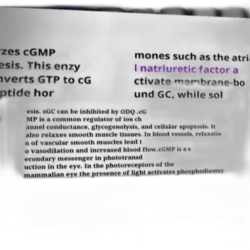 diagram, explaining, conversion, gtp, cgmp, enzymes, focus, sgc transparent PNG cut-out