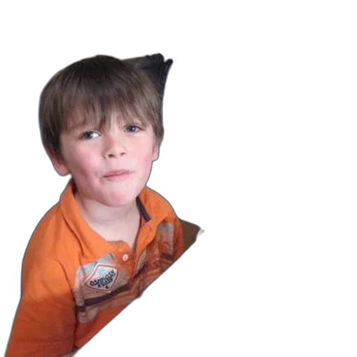 face, creature, animal, staff transparent PNG cut-out