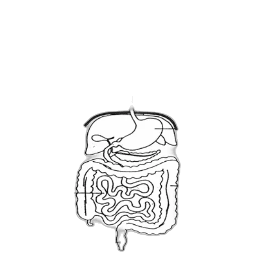 crown, hair, jewelry, mask, concept art, diagram, human, digestive transparent PNG cut-out