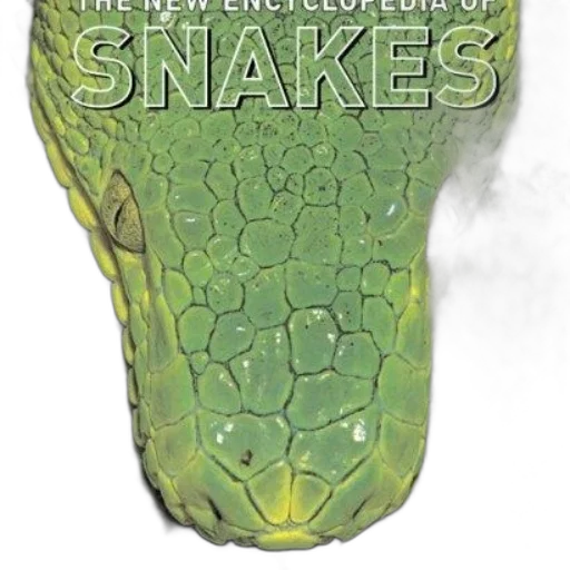 shoes, bottle, animal, weapon, concept art, new, encyclopedia, snakes transparent PNG cut-out