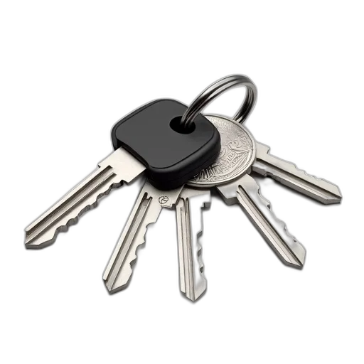 jewelry, set, silver, keys, black, key, fob, attached transparent PNG cut-out