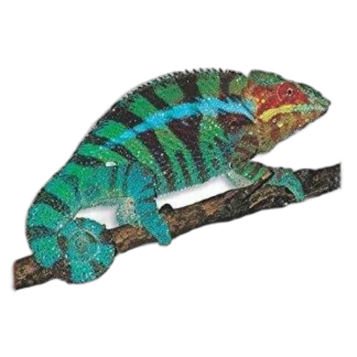 dragon, animal, creature, jewelry, photorealistic, 3d render, watercolor, concept art transparent PNG cut-out