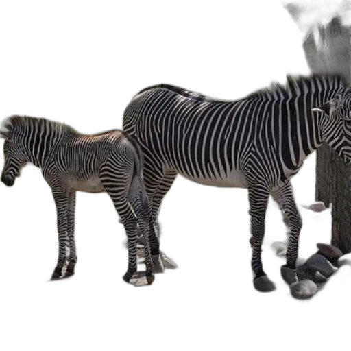 animal, creature, jewelry, furniture, 3d render, concept art, photorealistic, fantasy art transparent PNG cut-out