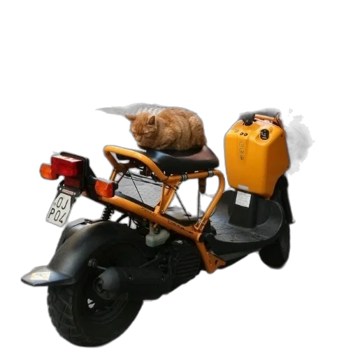 car, animal, robot, weapon, 3d render, concept art, photorealistic, cat transparent PNG cut-out