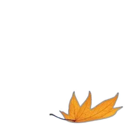 crown, hat, flower, tree, pixel art, watercolor, concept art, photorealistic transparent PNG cut-out