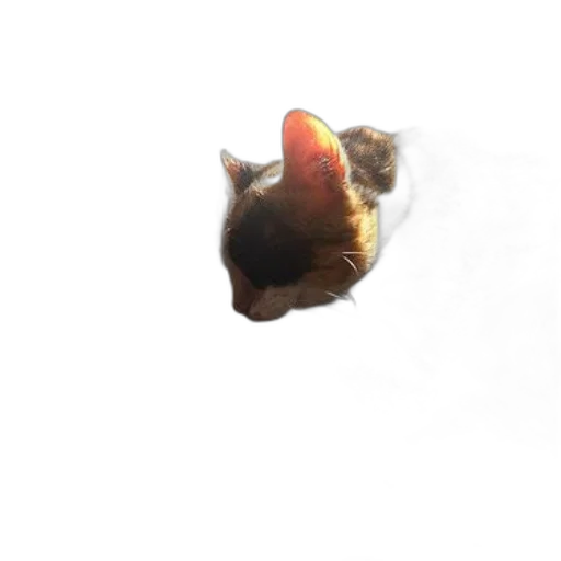 animal, creature, face, dragon, photorealistic, 3d render, concept art, pixel art transparent PNG cut-out