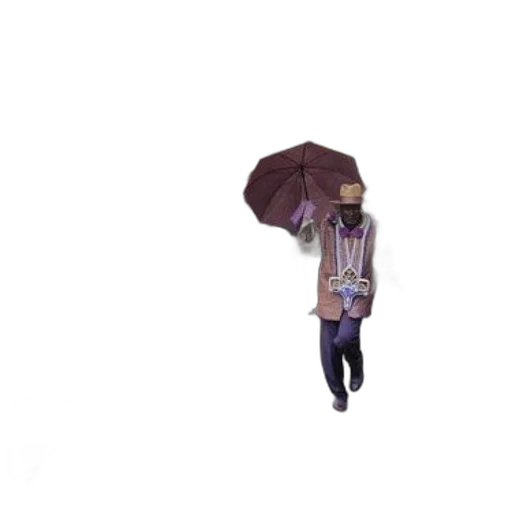 umbrella, jacket, hat, staff, 3d render, concept art, pixel art, photorealistic transparent PNG cut-out