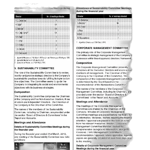 monochrome, report, corporate, governance, detailing, attendance, various, committee transparent PNG cut-out