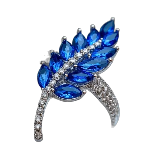 jewelry, crown, feather, ring transparent PNG cut-out